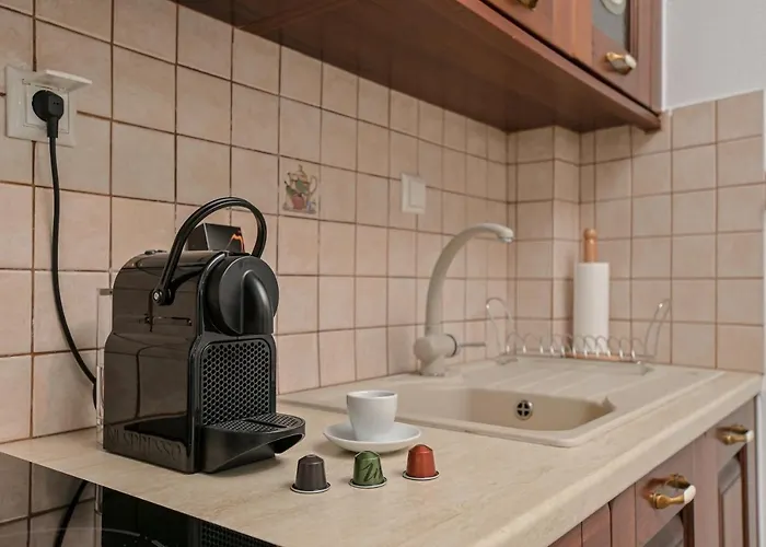 Geolenas - Naxian Old Agora דירה *